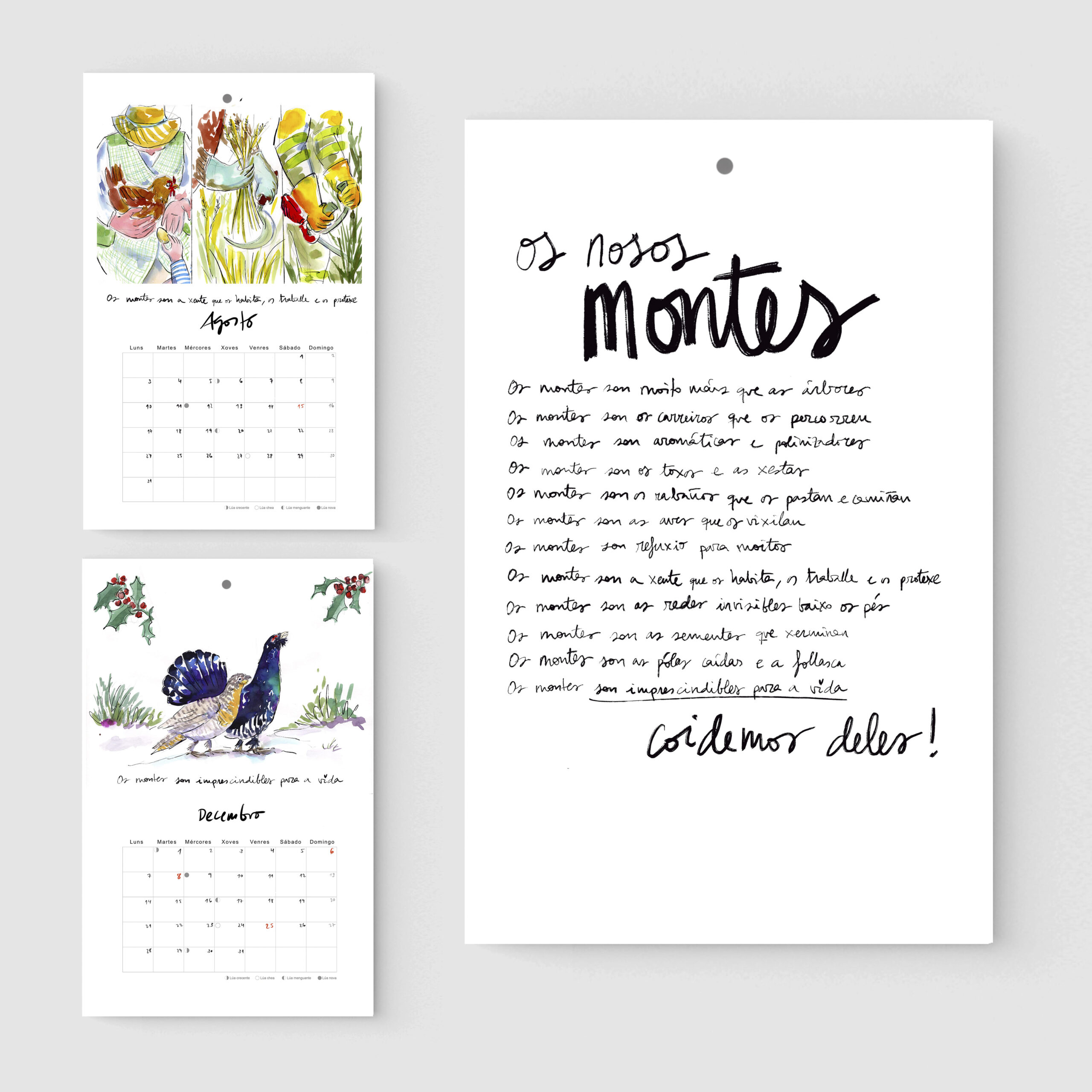 Mock Up Galicia_2026 texto